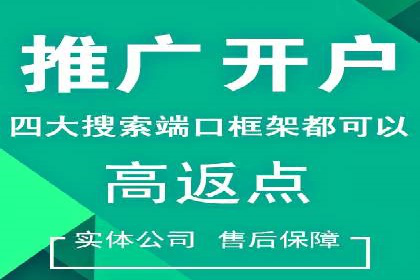 SEM推广公司案例：打造行业领军品牌